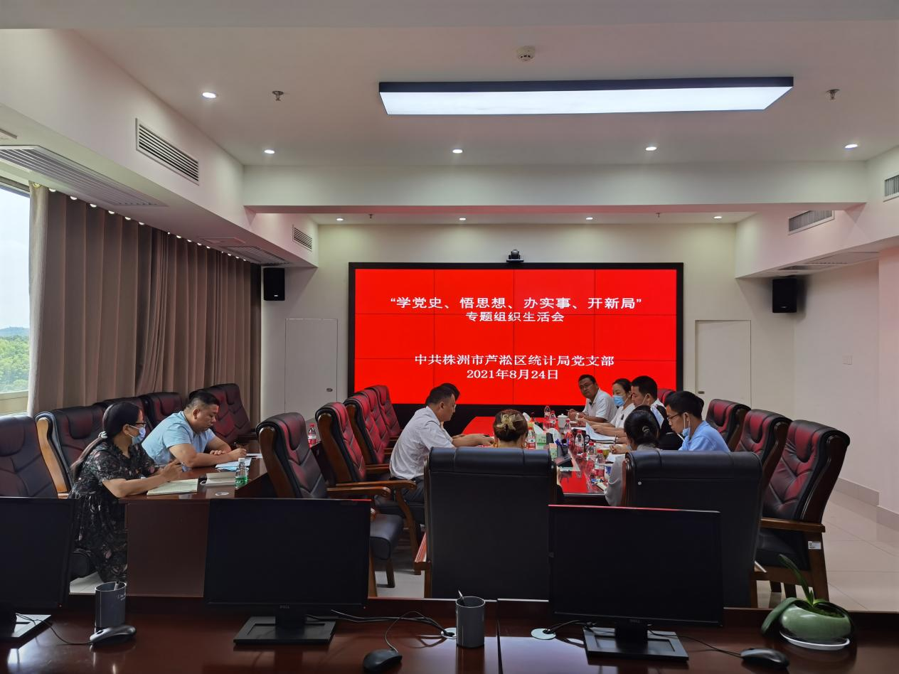 区统计局党支部召开党史学习教育专题组织生活会