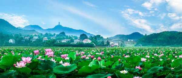 荷塘区仙庾岭村入选中国美丽休闲乡村