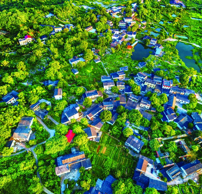 我区获全市“五治理一革命”考核第一名