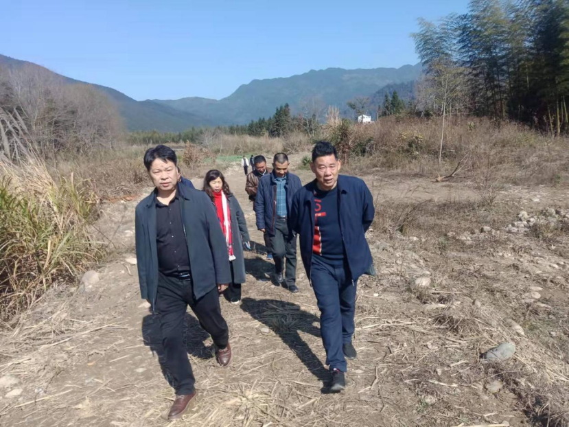 扎实推进乡村振兴工作