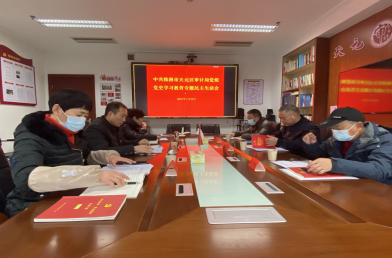 区审计局党组召开党史学习教育专题民主生活会