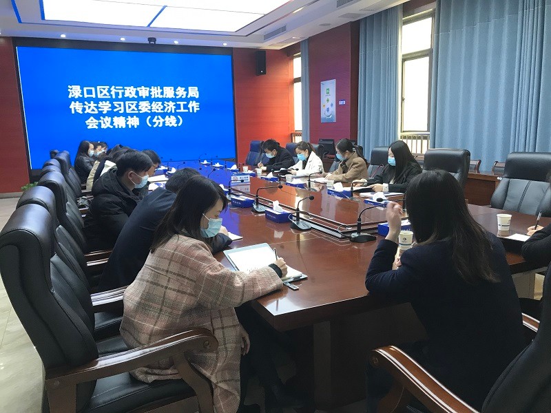 渌口区行政审批服务局传达学习区委经济工作会议精神（分线）