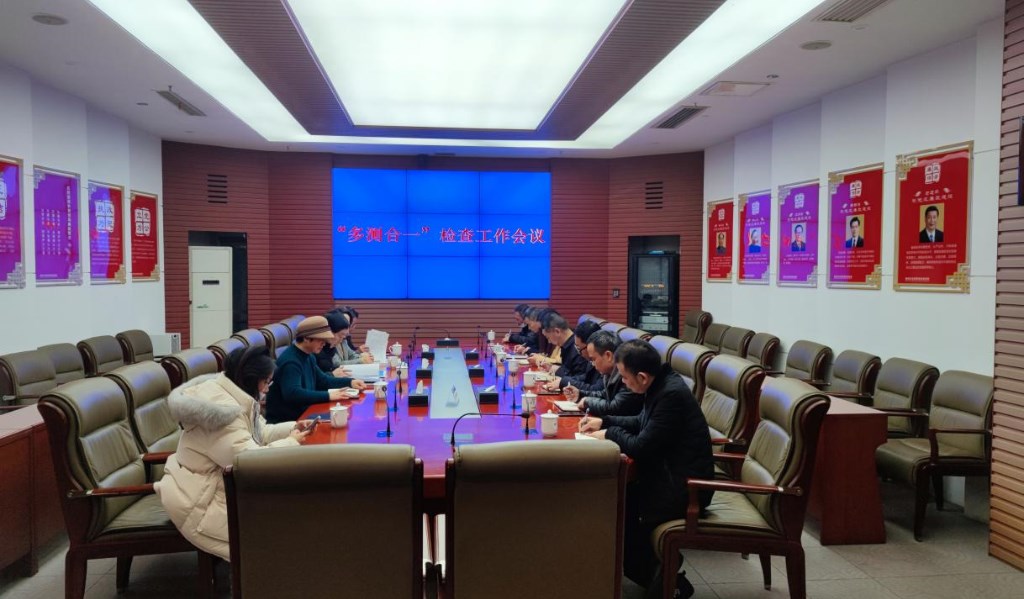 郭敏主持召开“多测合一”检查工作会
