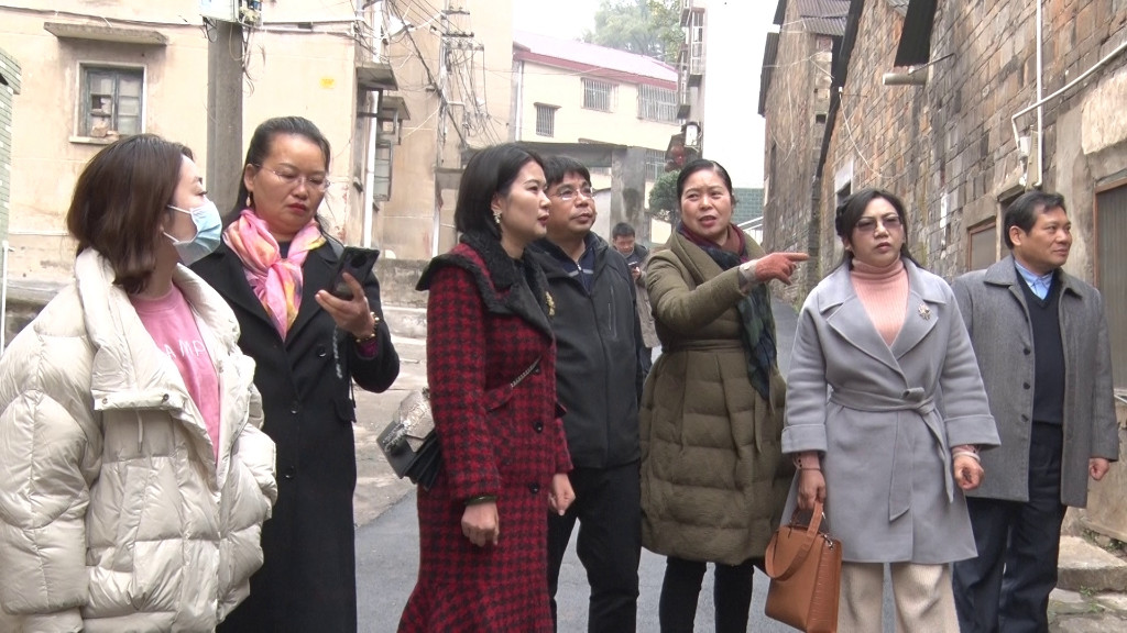 钦点乡建公司总经理李霞一行来渌口区考察