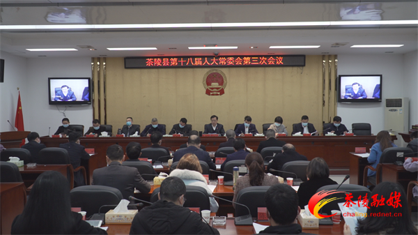 茶陵县第十八届人大常委会第三次会议召开