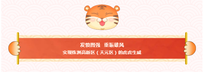 我区举行升国旗仪式：奋斗与实干 是新年最好的“打开方式”