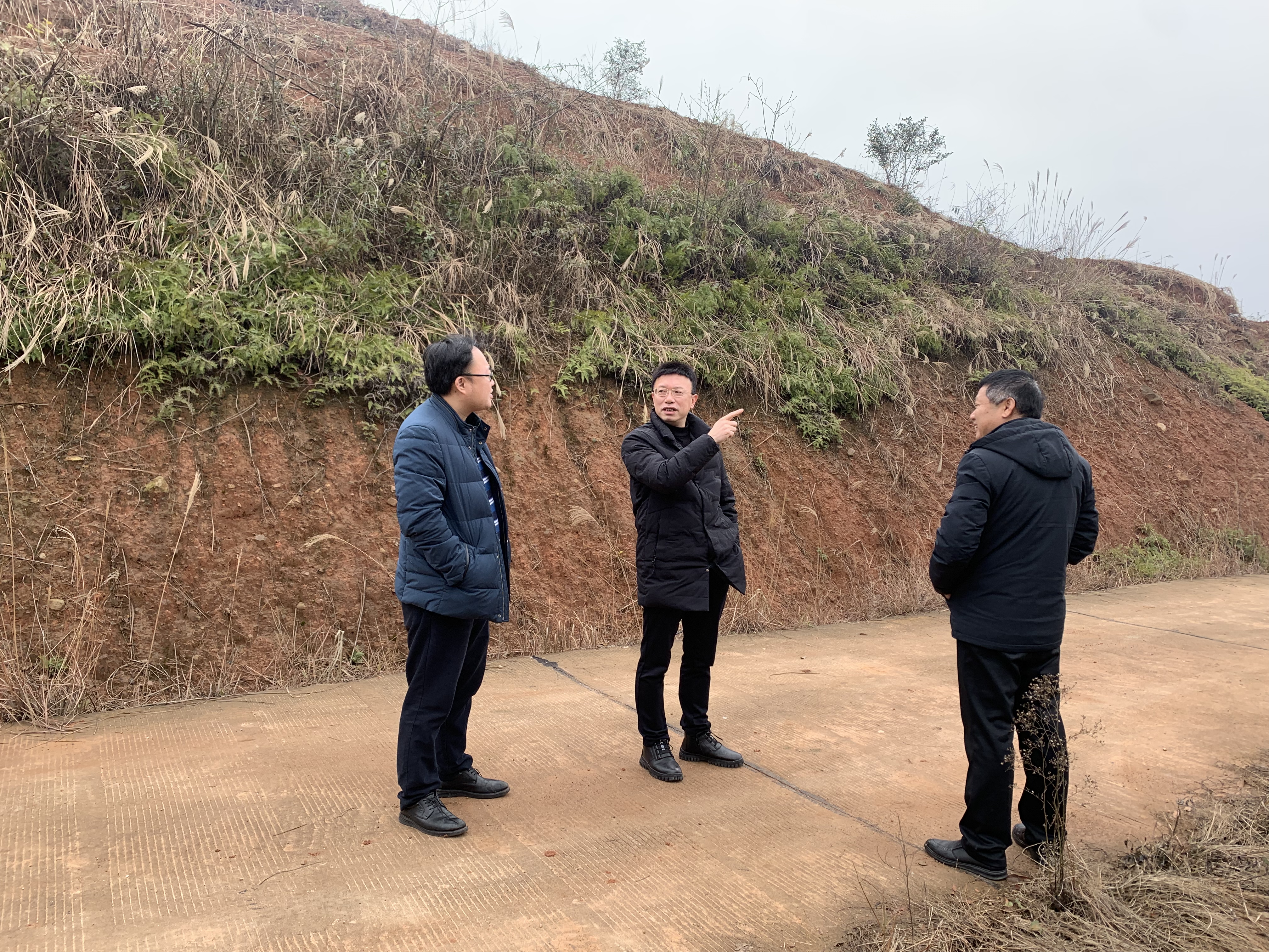 株洲市天元区林业局开展2022年义务植树基地选址工作