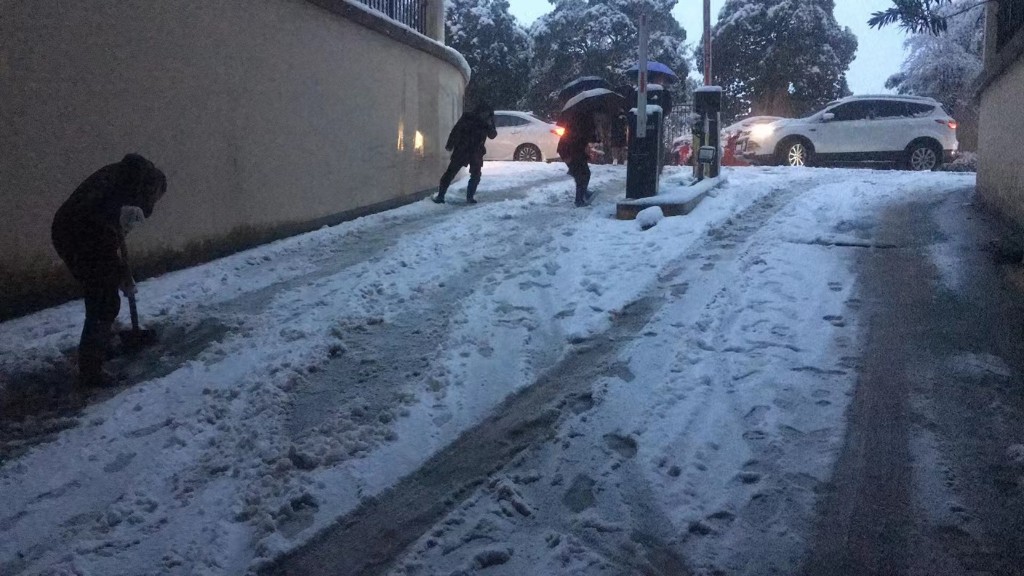 天元区物业行业春雪“绘美景” 服务暖民心