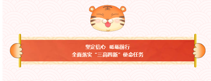 我区举行升国旗仪式：奋斗与实干 是新年最好的“打开方式”