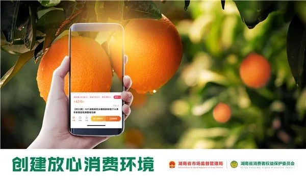 新鲜出炉!湖南2022消费维权年主题海报