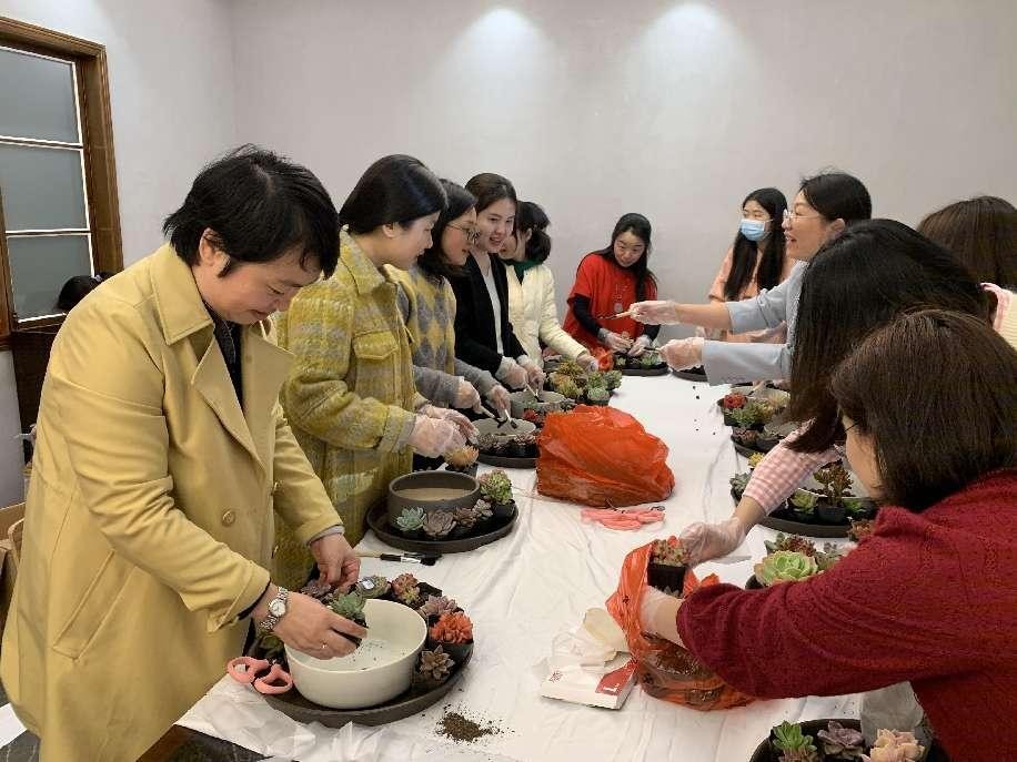 区住建局组织开展“庆三八”多肉DIY活动
