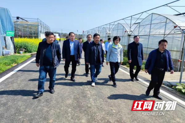 省乡村振兴局来茶陵县文江村调研
