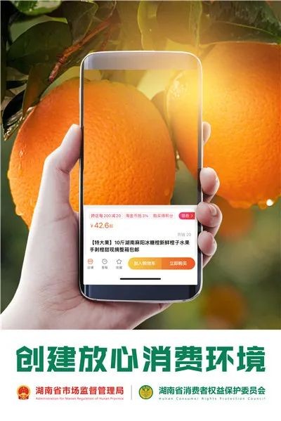 新鲜出炉!湖南2022消费维权年主题海报