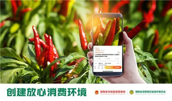 新鲜出炉!湖南2022消费维权年主题海报