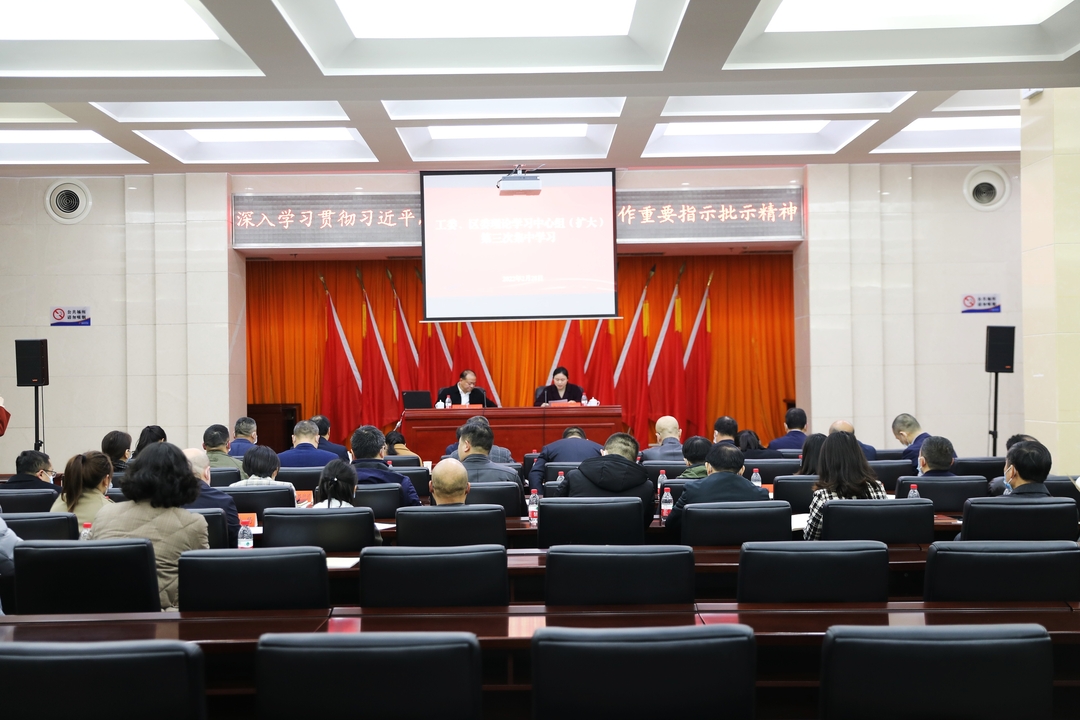 深入学习领会习近平总书记关于社会保障工作重要讲话和指示批示精神 我区理论学习中心组(扩大)开展第三次集中学习
