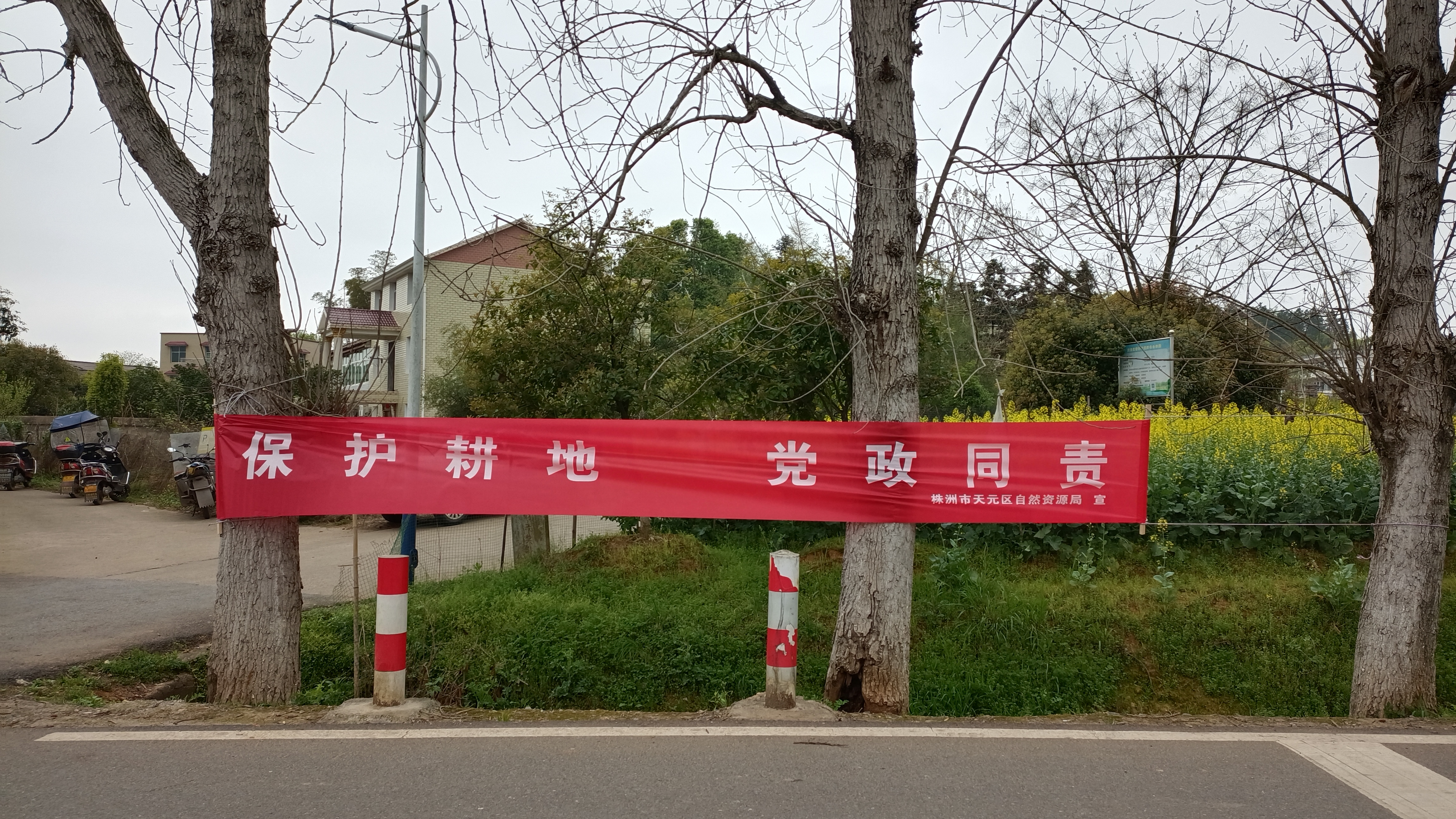 耕地守得好,饭碗端得牢 ——天元区自然资源局开展耕地保护宣传活动