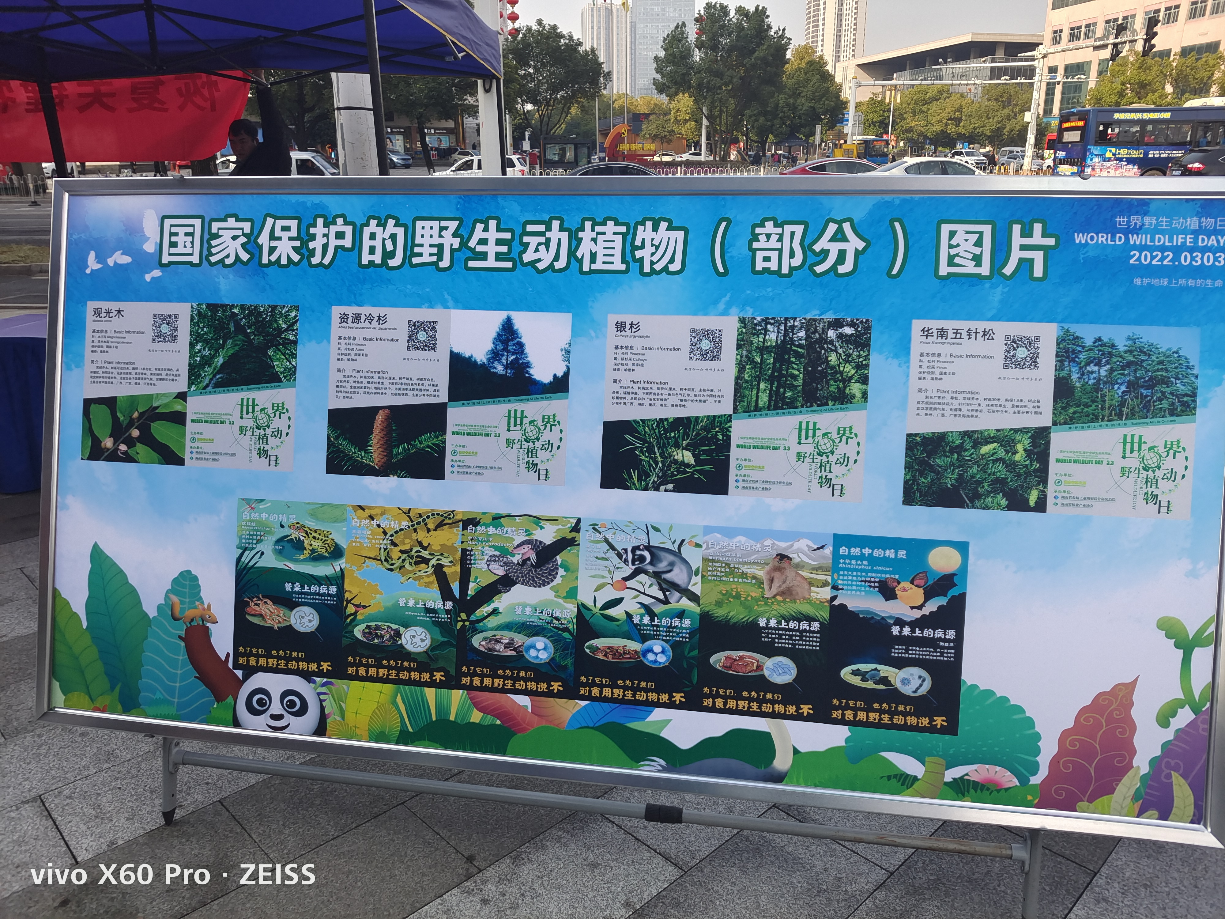 株洲市天元区自然资源局（林业局）开展第九个“世界野生动植物日”宣传活动