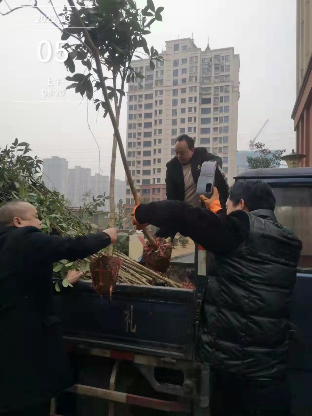 天元物业积极开展三月学雷锋和植树活动