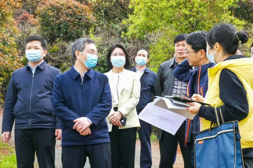 陈恢清来我区调研株洲云峰植物园选址等工作