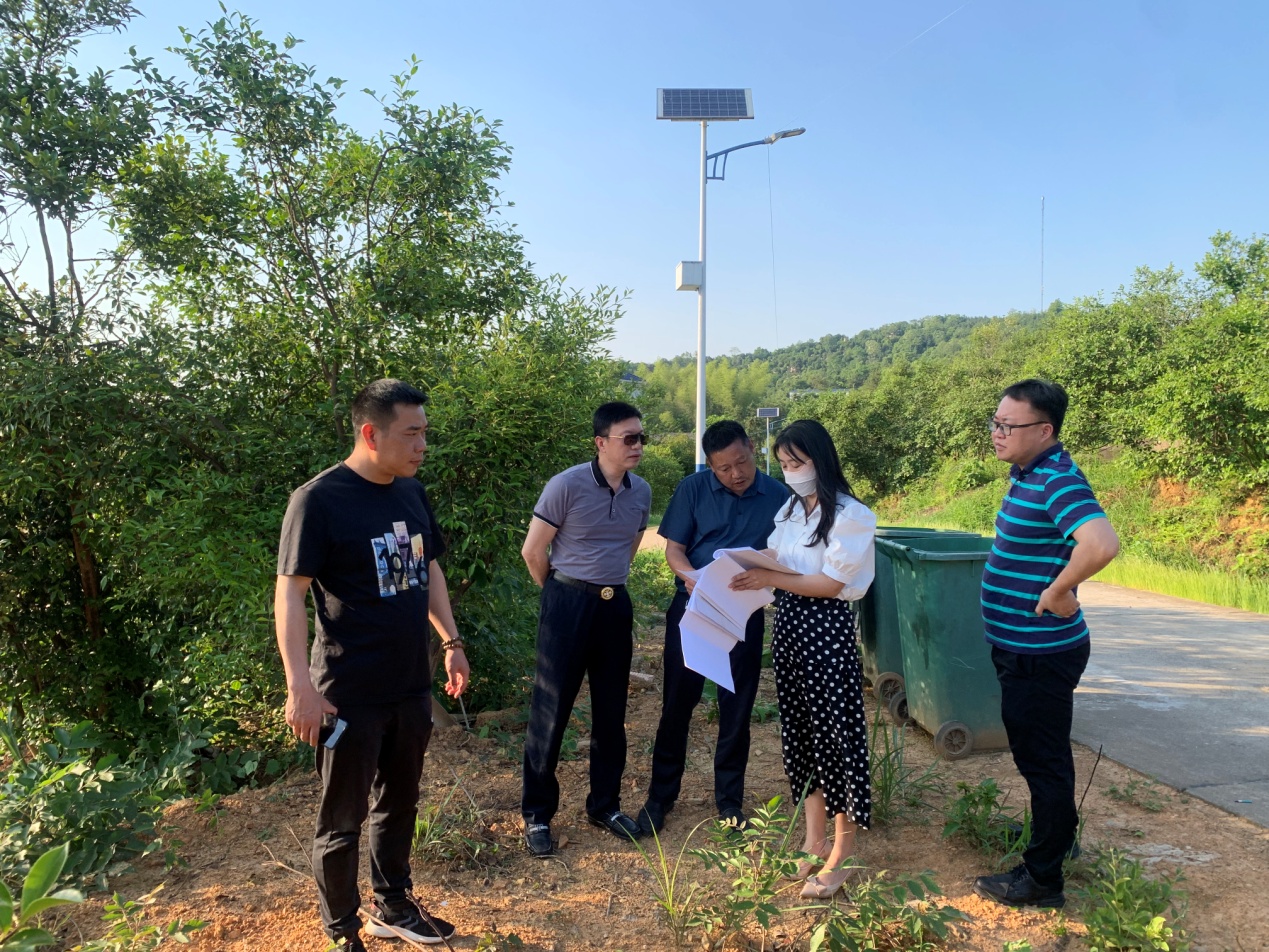 株洲市林业局谭辉副局长现场指导林相改造项目