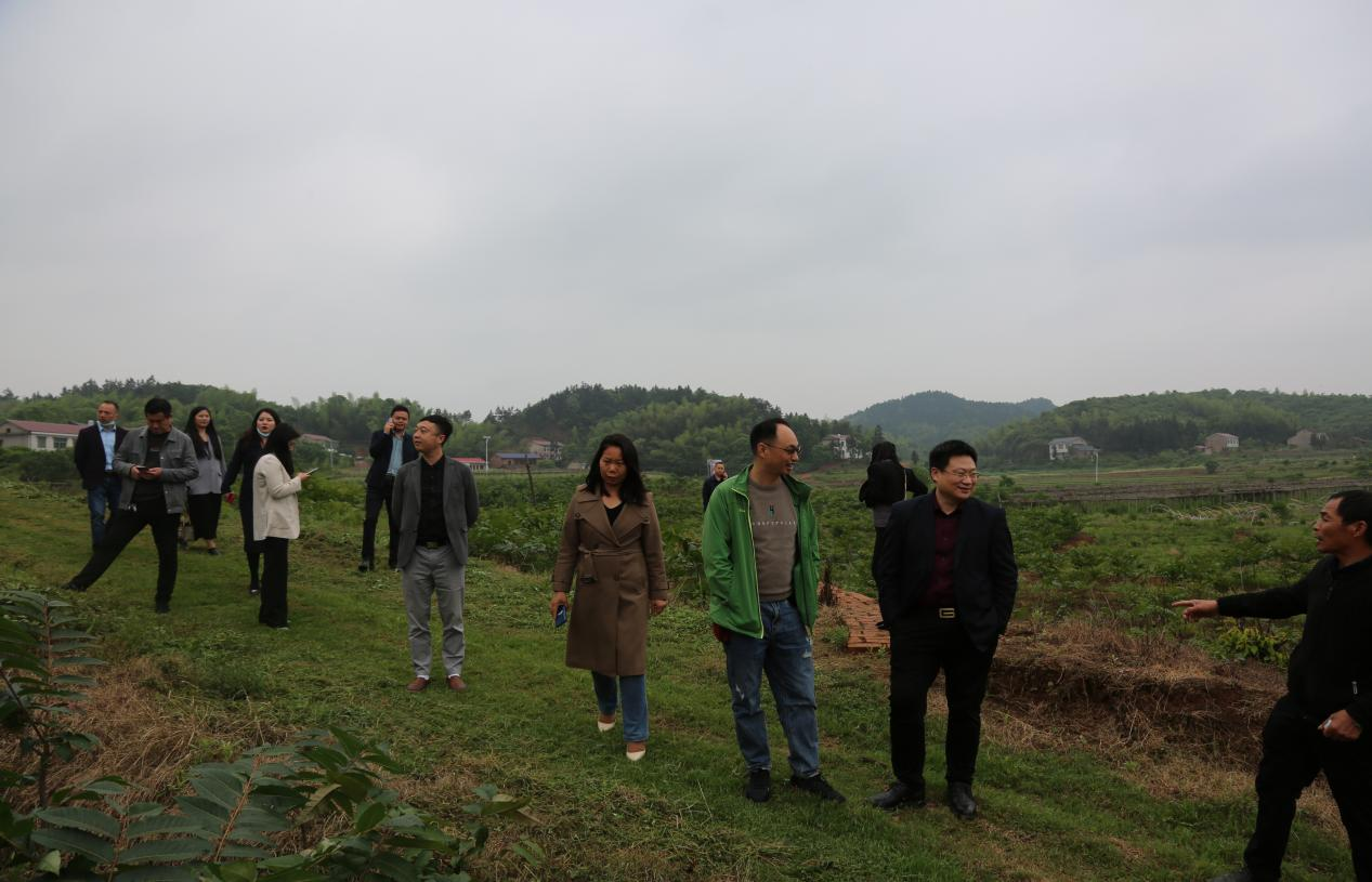 万企兴万村，助力乡村振兴：天元区工商联组织民营企业家考察三门镇