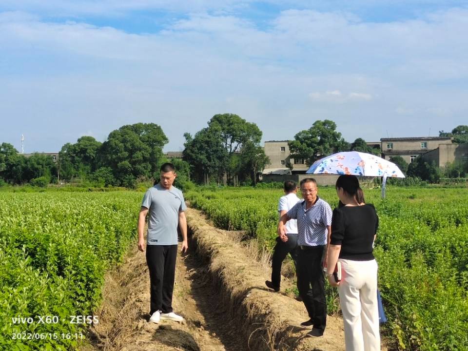 天元区工商联赴栗雨街道中路社区对接 消除集体经济“薄弱村”结对共建工作