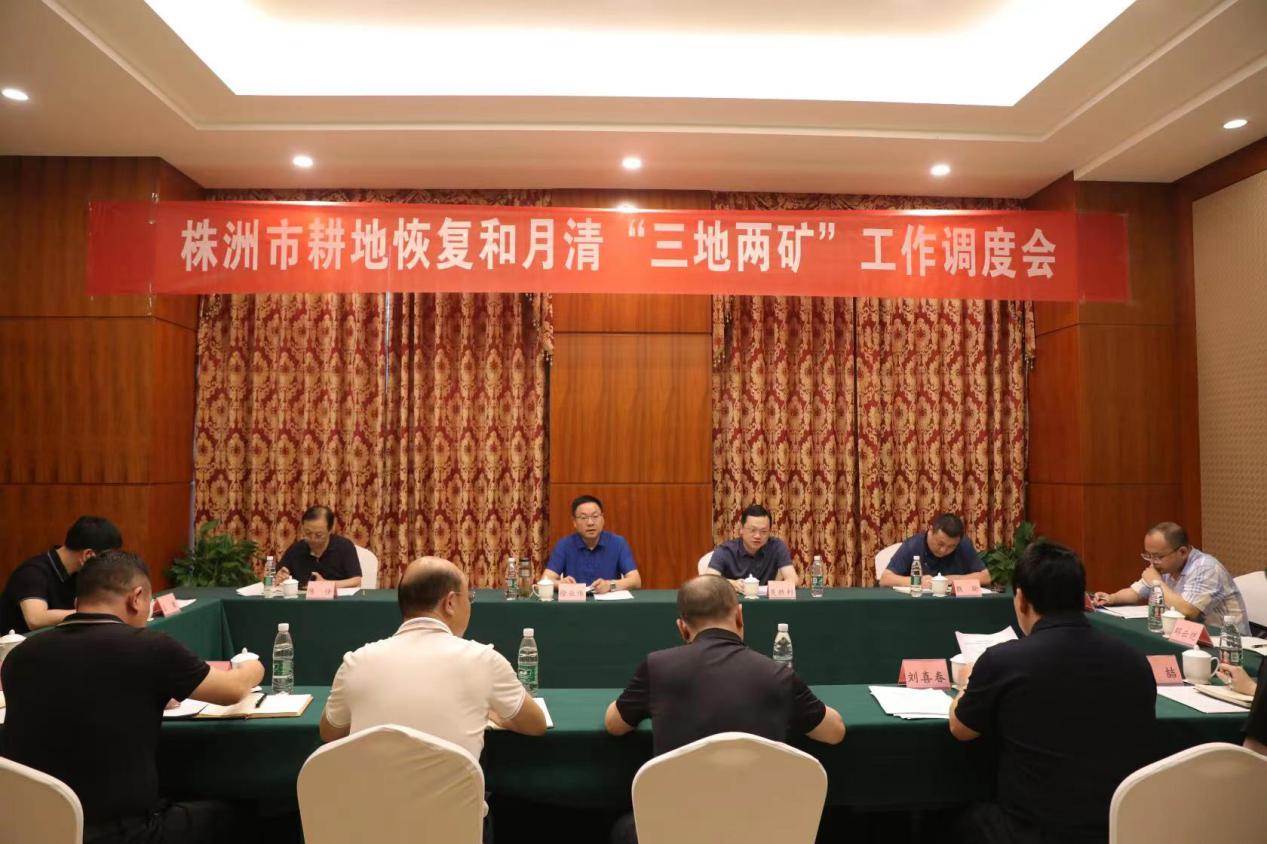 聚焦增量问题，做好减量文章 ——株洲市自然资源和规划局开展各县市耕地恢复和月清"三地两矿"工作专题调研督导