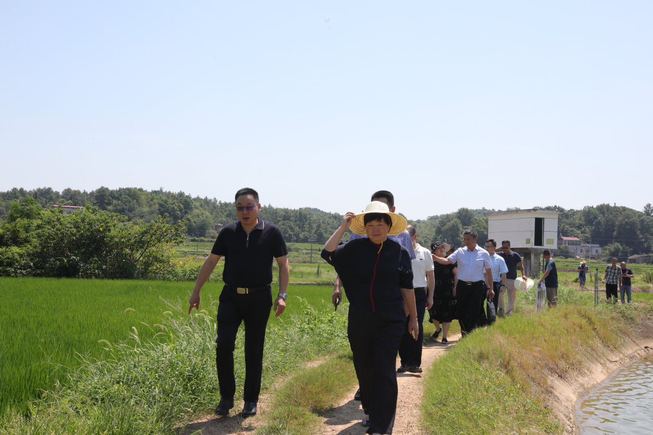 省自然资源厅来株开展耕地保护专项督导