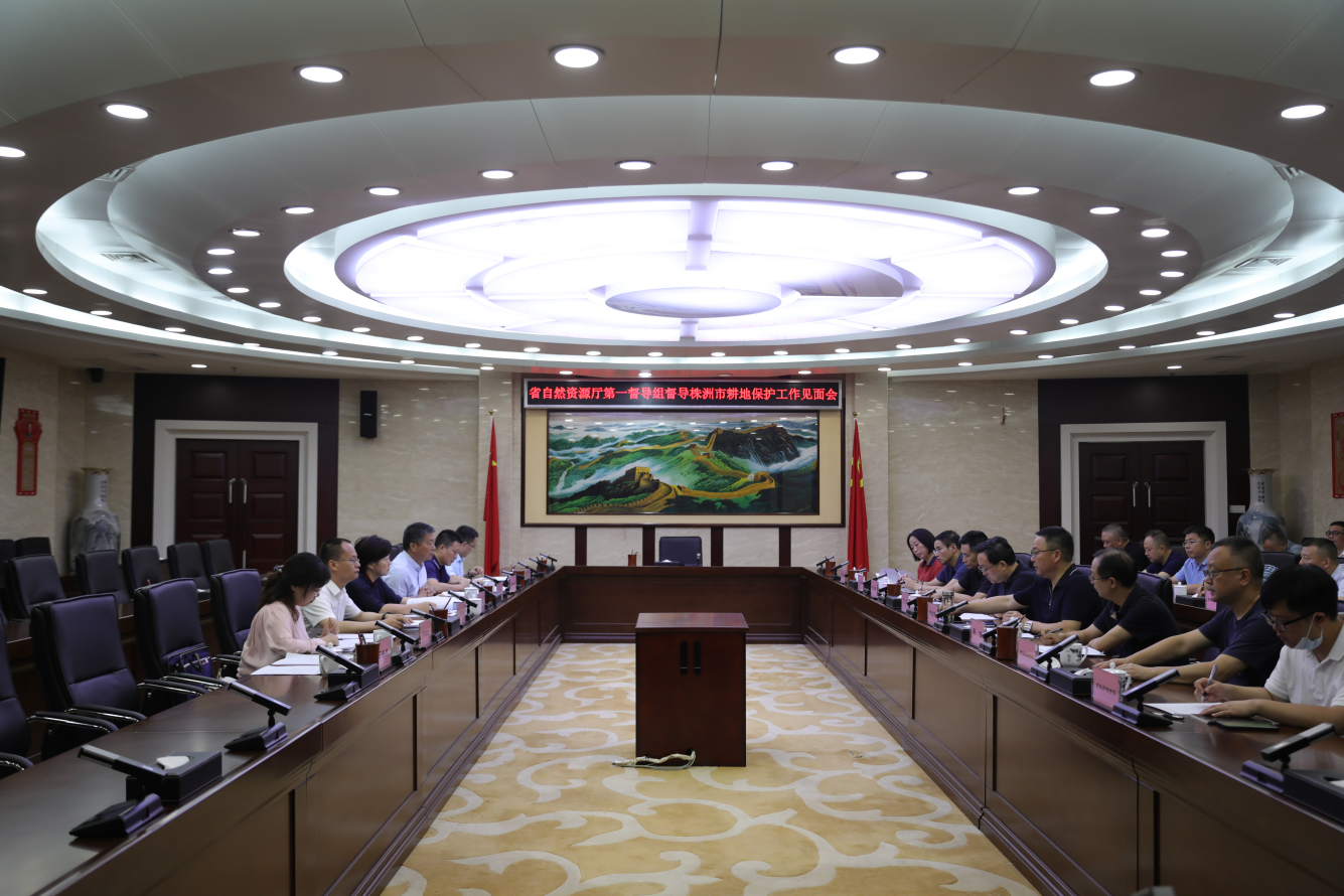 省自然资源厅来株开展耕地保护专项督导