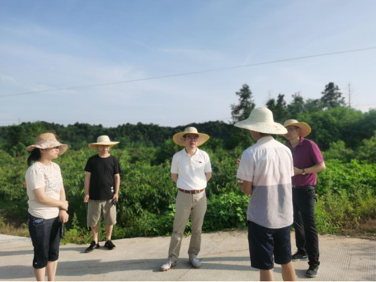 天元区强力推进耕地恢复和耕地整改补足工作
