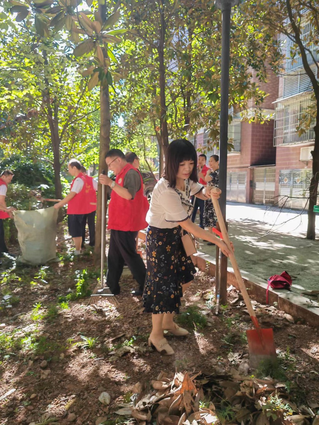 一场联合劳动盛宴创造良好小区环境