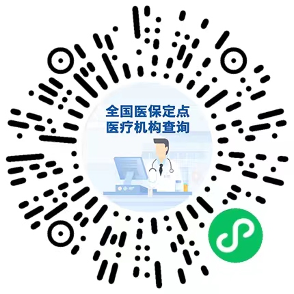 定点医疗机构和定点医药机构查询方法