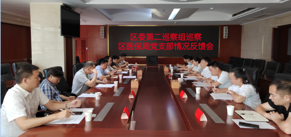区委第二巡察组向区医疗保障局党支部反馈巡察情况