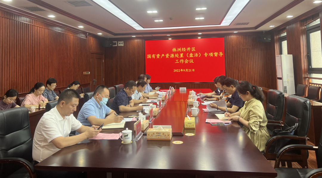 市政府督导组来我区督导国有“三资”清查处置（盘活）工作