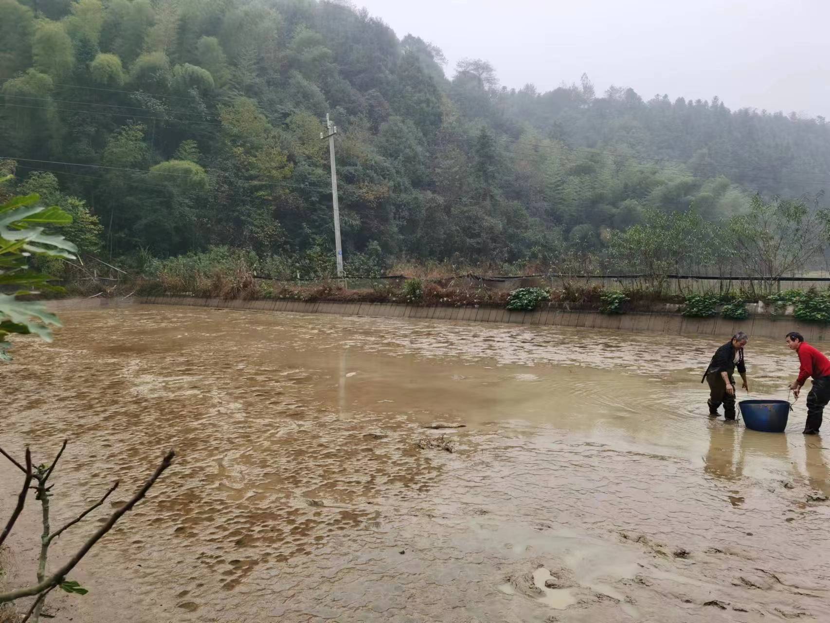 多管齐下 全力推进违法用地"双零"