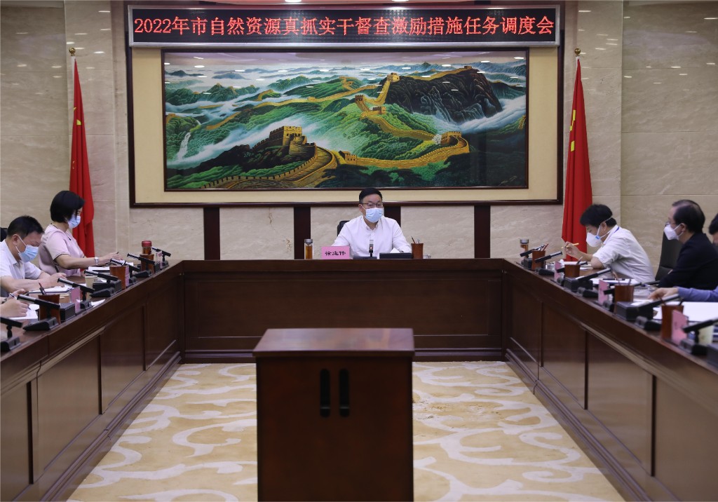 有序复工 全力冲刺——市局召开自然资源真抓实干督查激励措施任务调度会