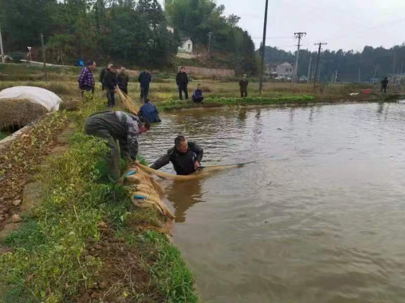 “卸水”归田，还耕于民