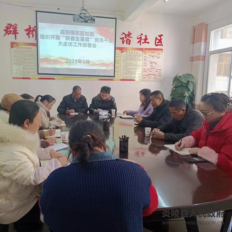 霞阳镇启动“新春走基层”活动