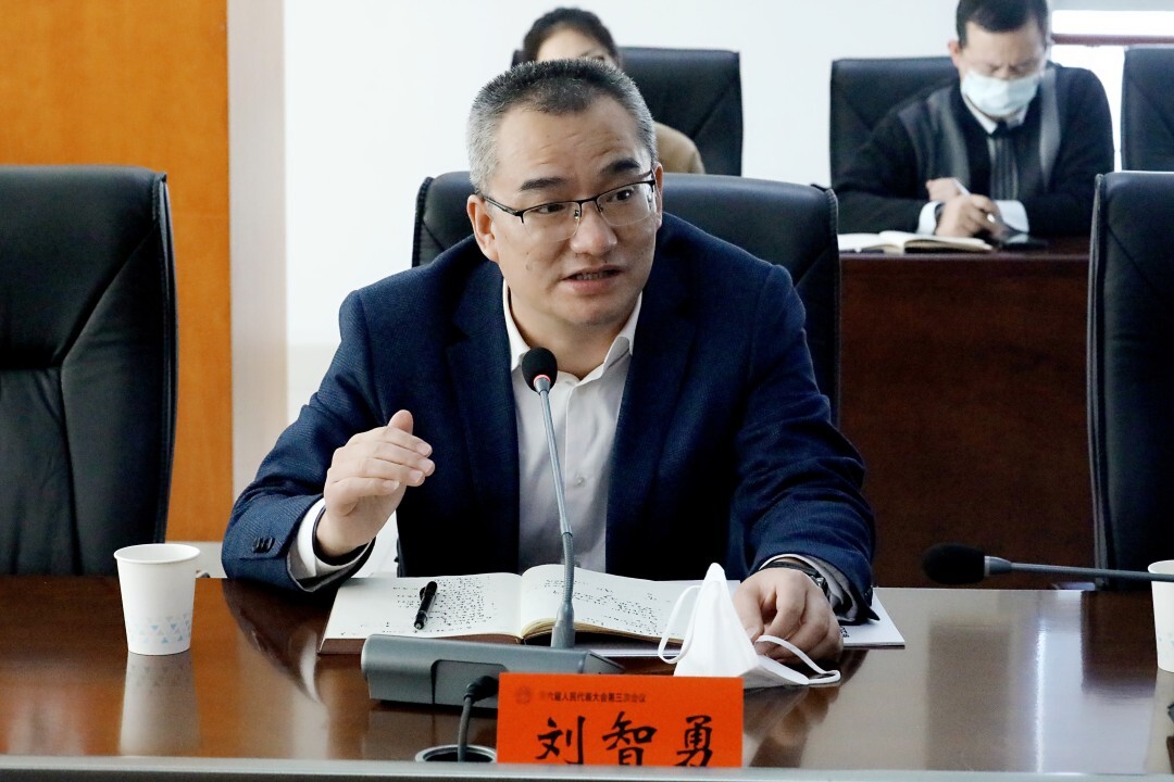 刘智勇参加雷打石镇代表团审议时强调 当好“服务员” 推动今年各项工作再上新台阶
