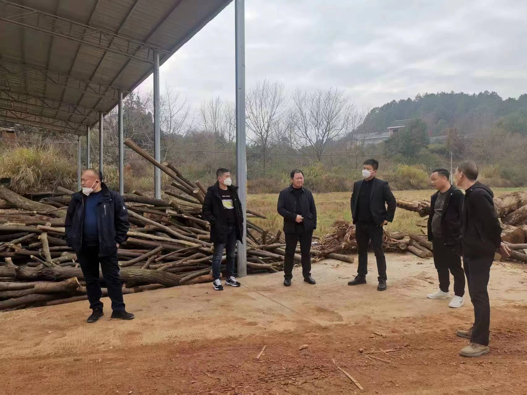 株洲市资规局全力推进卫片执法监督检查工作