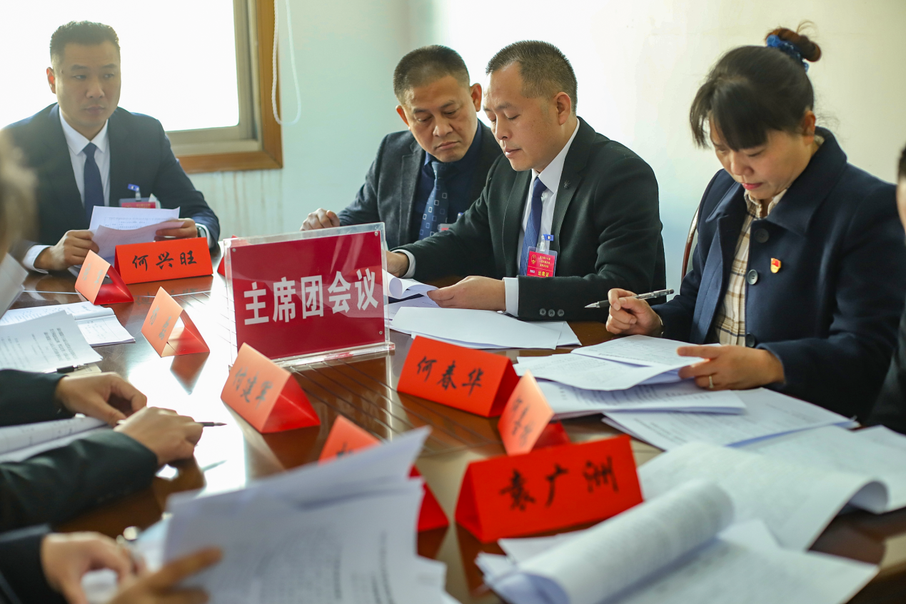 渌口镇第十六届人民代表大会第四次会议胜利召开