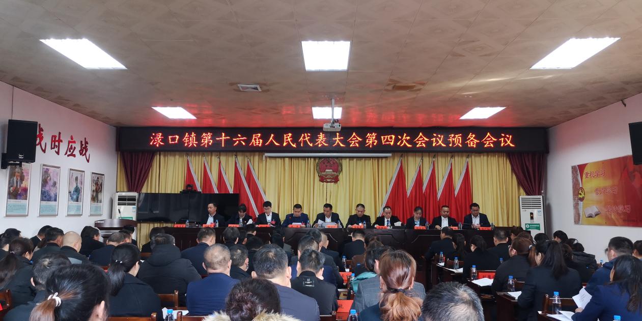 渌口镇第十六届人民代表大会第四次会议胜利召开