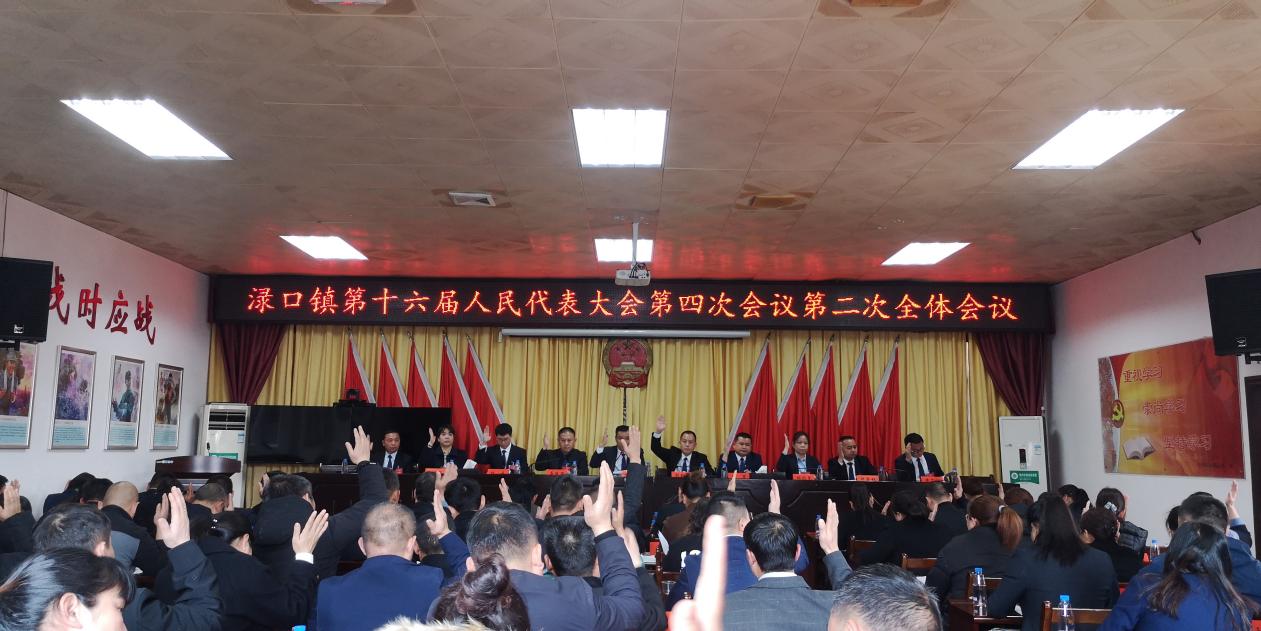渌口镇第十六届人民代表大会第四次会议胜利召开