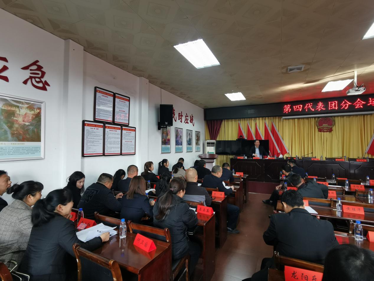 渌口镇第十六届人民代表大会第四次会议胜利召开
