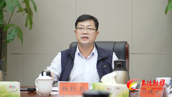 杨红兵主持召开重点工作调度会