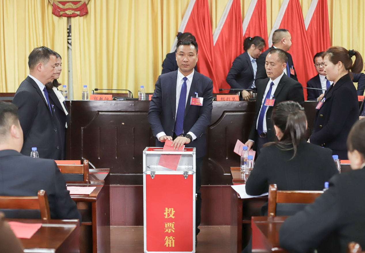渌口镇第十六届人民代表大会第四次会议胜利召开