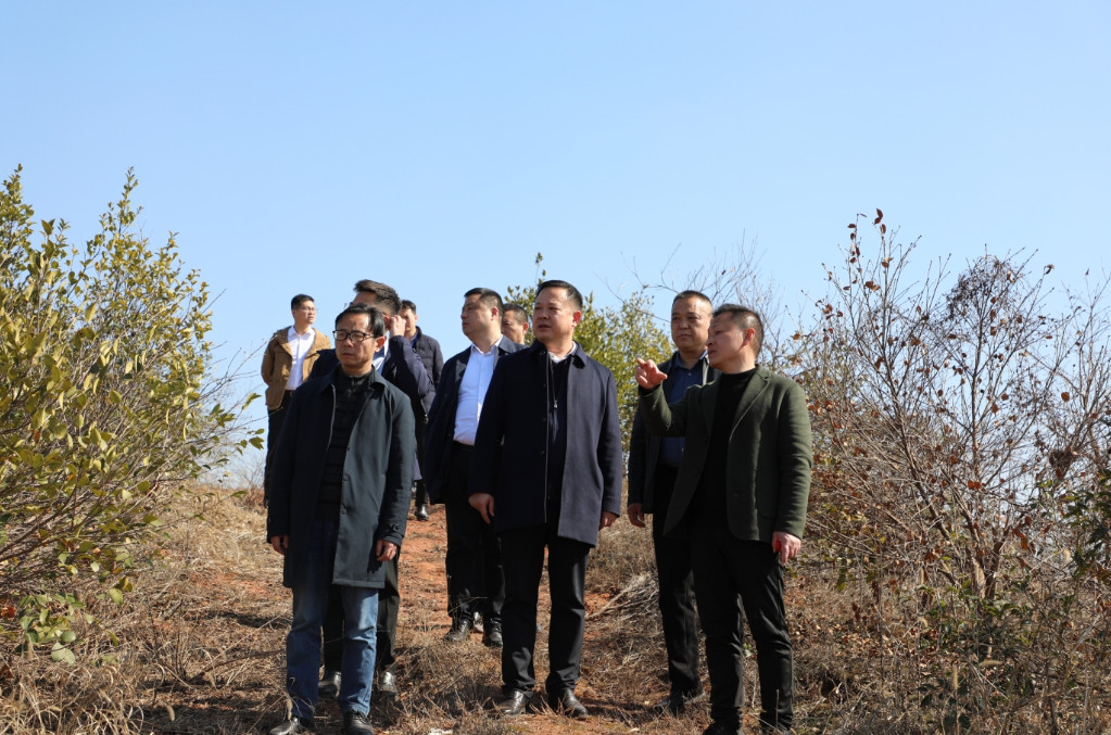 李晓彤到镇村开展小微企业调研和巡林工作并慰问项目攻坚人员