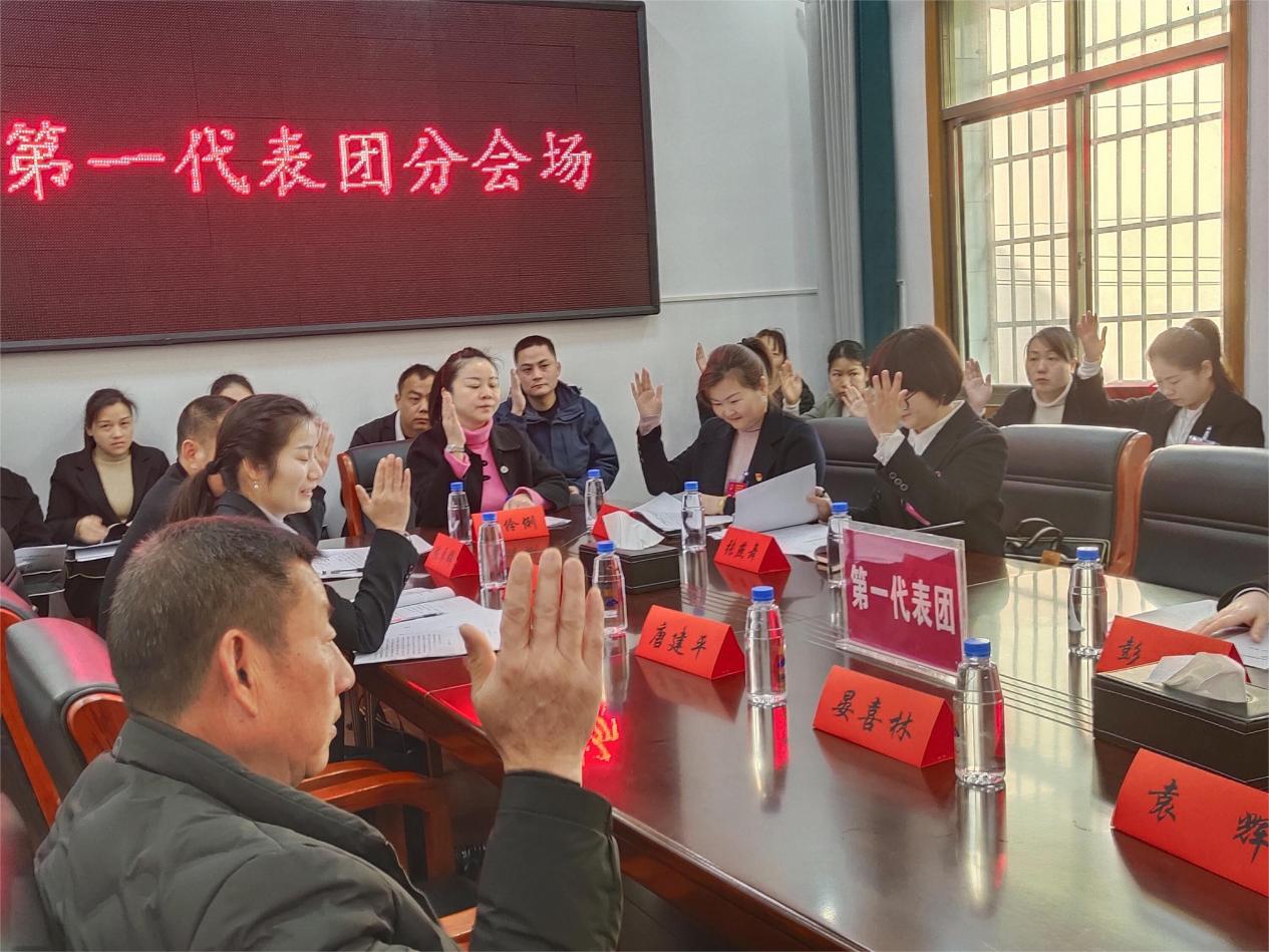 渌口镇第十六届人民代表大会第四次会议胜利召开