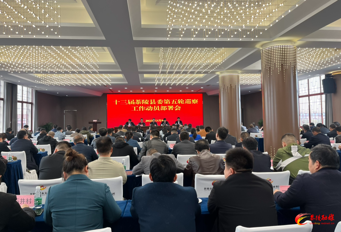 茶陵县动员部署十三届县委第五轮巡察工作