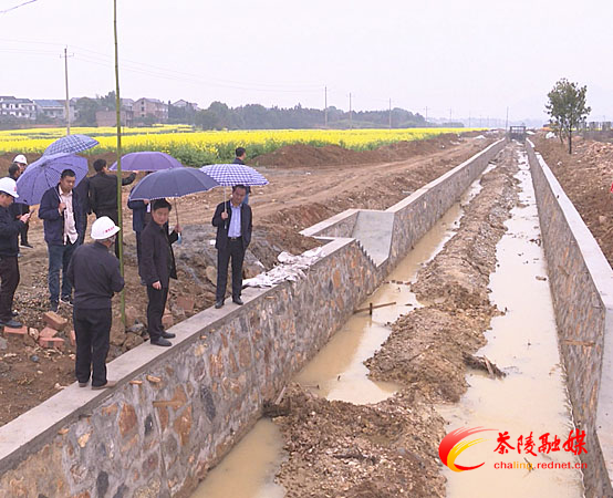 马文平带队调研督导高标准农田建设工作
